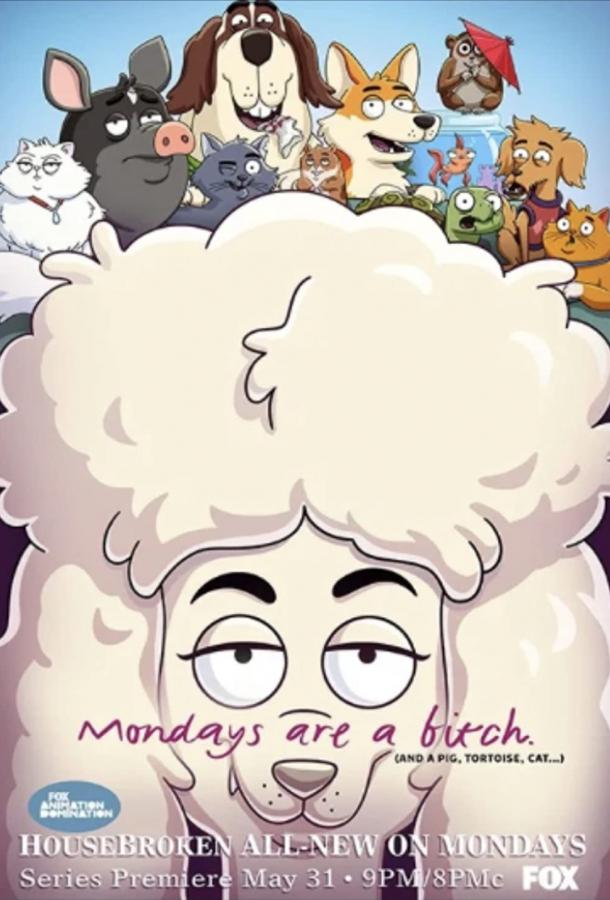 Постер к К лотку приучены (1 сезон)