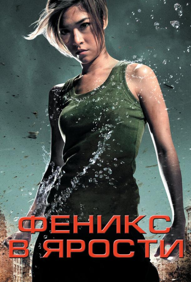 Постер к Феникс в ярости (2009)