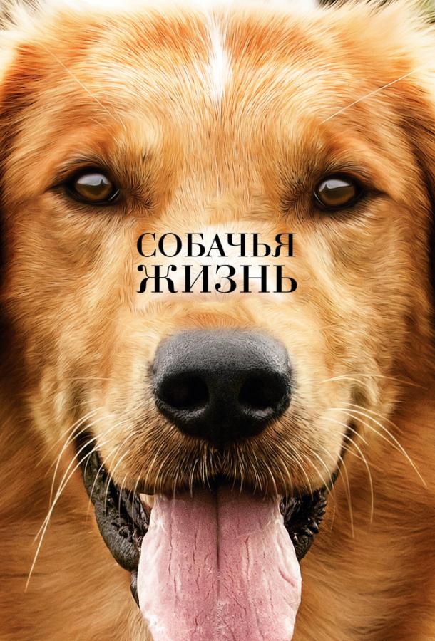 Постер к Собачья жизнь (2017)