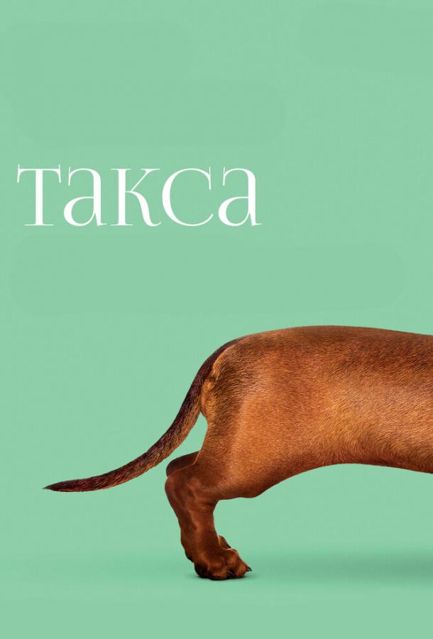 Постер к Такса (2016)