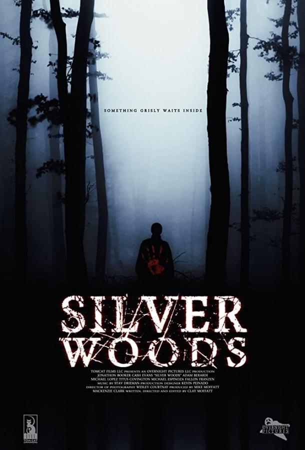 Постер к Серебрянный лес (2017)